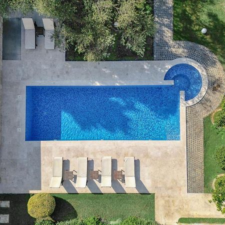 Villa Zen Port Petrovac Extérieur photo